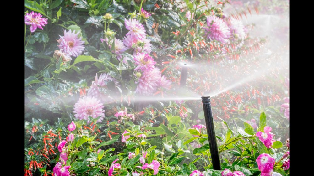 Denver Best Sprinklers Irrigation 530 S Dale Ct, Southwest, Denver