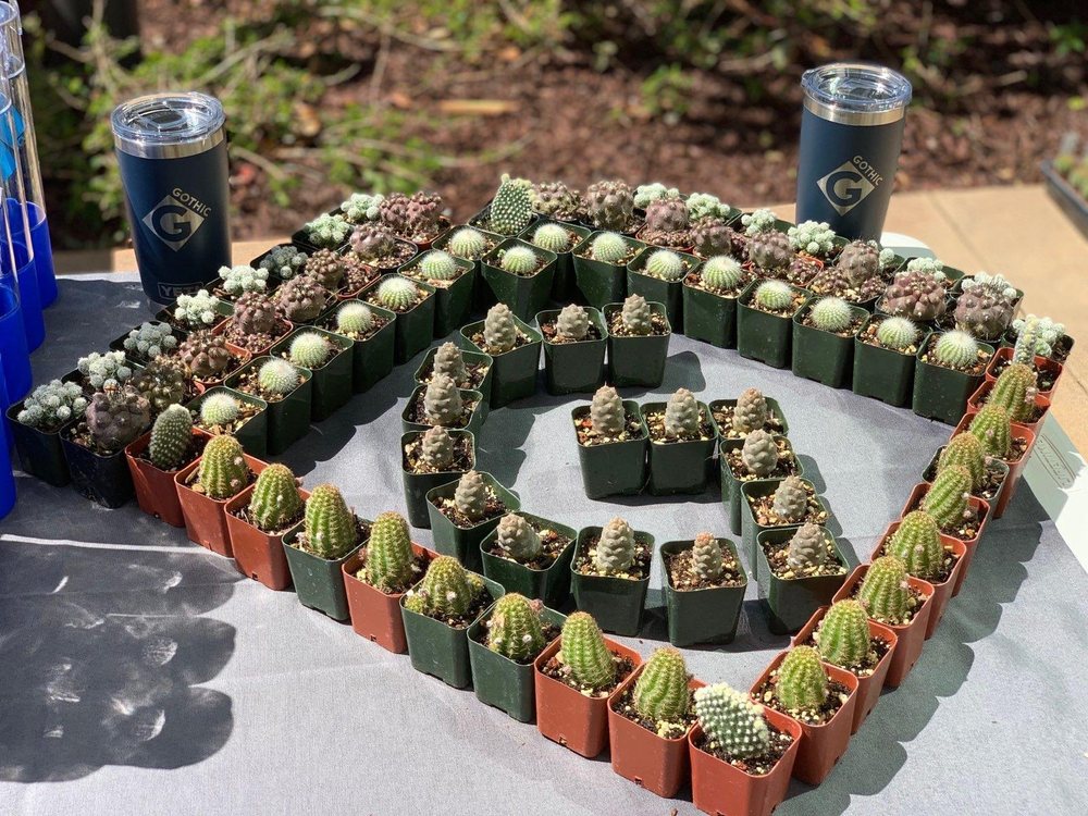 Gothic Landscaping 2019 All You Need To Know Before Go