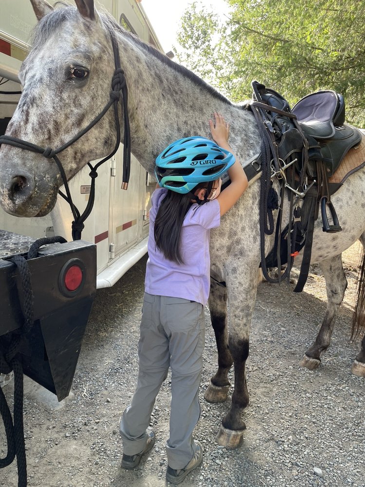 Equine Escapes