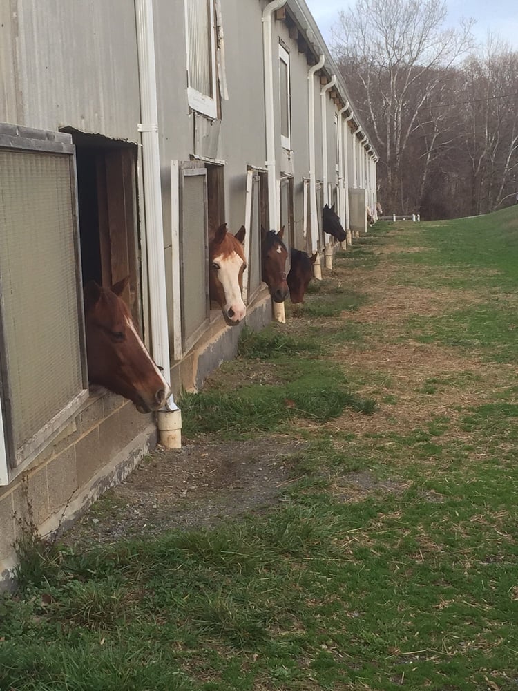 Potomac Horse Center