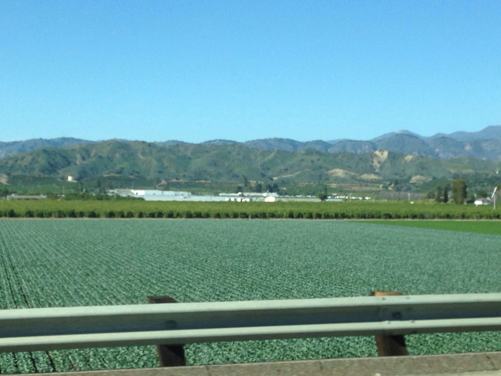 City of Santa Paula 14 Photos Local Flavor Santa Paula, CA Yelp