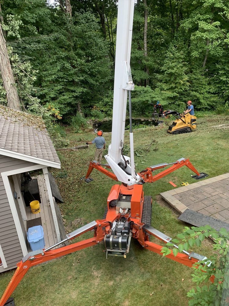 Woodlands Tree Service