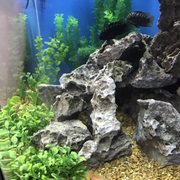infinity aquarium design 12