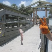 Merry Pier 14 Photos Boating 801 P A Grille Way St Pete Photo Of Merry Pier St Pete Beach Fl United States