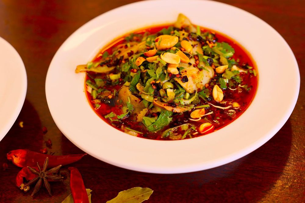 Mr Liu Noodle House Mr Liu Noodle House