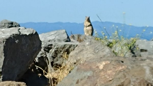 Cove Reading Program Directions Mapquest