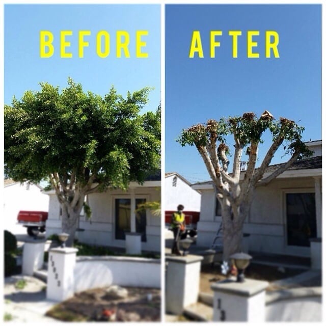 Hala Tree Service Inc.