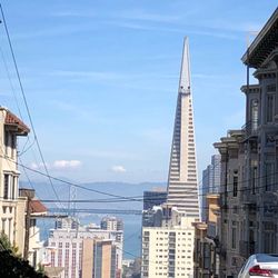 Transamerica Life Insurance Reviews >> Transamerica Life Insurance Annuity Company Closed Life Transamerica Life Insurance Reviews >> Transamerica Life Insurance Annuity Company Closed Life