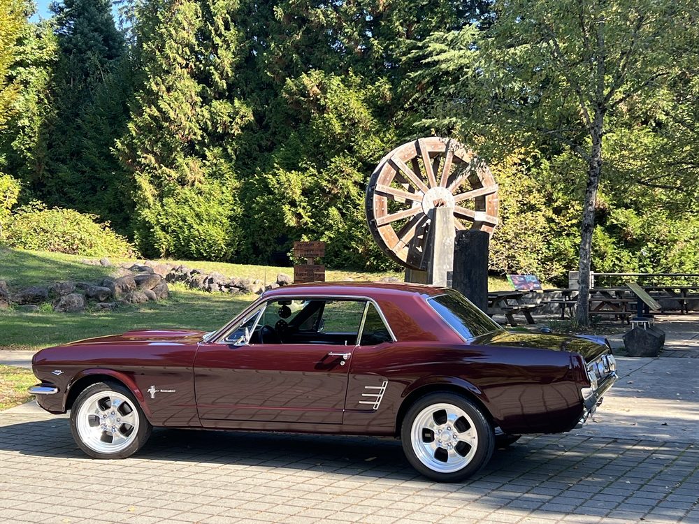 Wolff's Custom Detailing