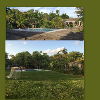 Knoll Landscape Design 125 Photos 14 Reviews Landscaping Photo Of Knoll Landscape Design Miami Fl United States Before And After