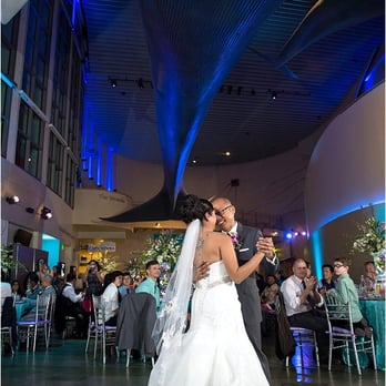 A Wedding And Special Events 23 Photos 57 Reviews Photo Of A Wedding And Special Events Long Beach Ca United States