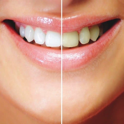 image of business Total Care Implant Dentistry