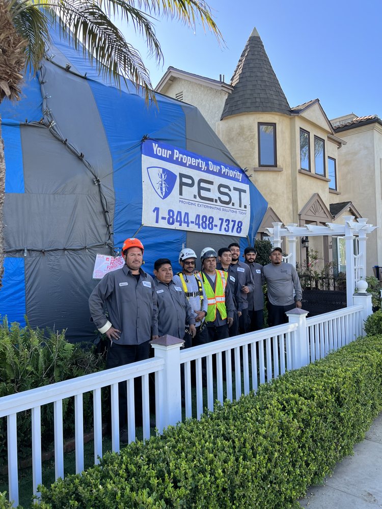 The PEST Group
