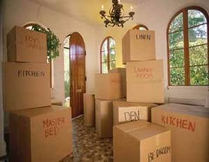 All America Household Moving Services