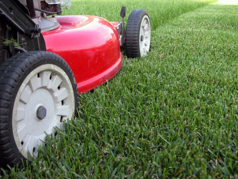 Ashburton Lawn Care
