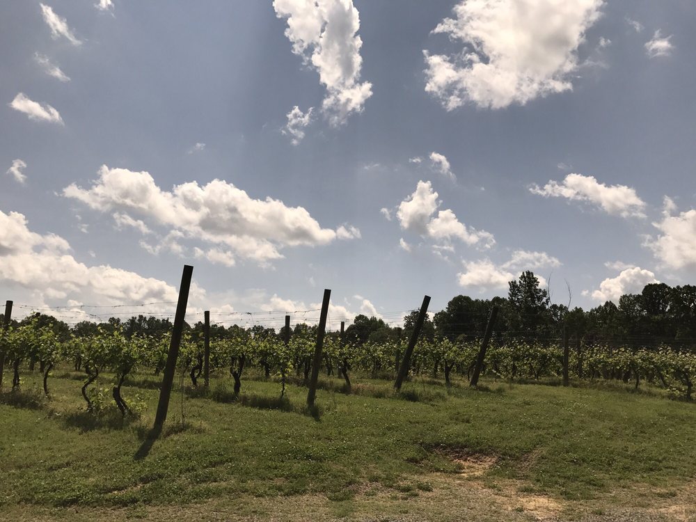 Oak Crest Vineyard & Winery 34 Photos & 22 Reviews Wineries 8215