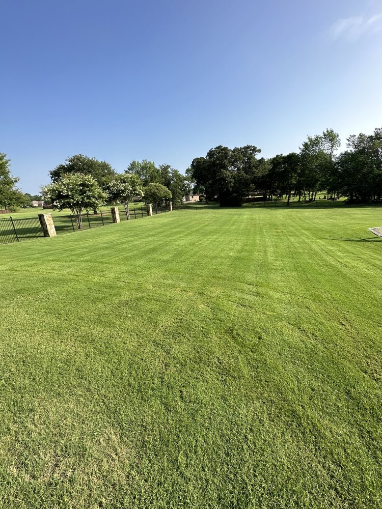 Rauls Lawn Care