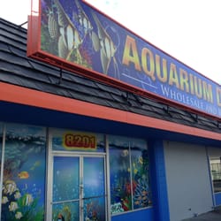 aquarium depot 68 photos 103 reviews aquarium aquarium depot 68 photos 103 reviews aquarium