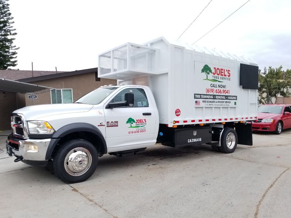 Joel’s Tree Service 47 Photos & 47 Reviews Tree Services San