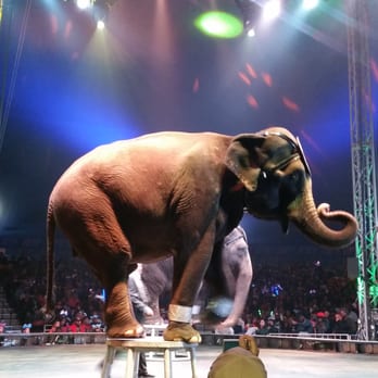 UniverSoul Circus - 29 Photos & 20 Reviews - Performing Arts - Atlanta