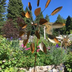 Spring Hill Nursery Gardens 16 Photos Nurseries Gardening Photo Of Spring Hill Nursery Gardens Mount Shasta Ca United States