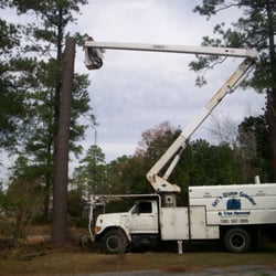 ken s tree service contain photo of kens tree company wilmington nc united states services nc phone number ken s tree service contain photo of kens tree company wilmington nc united states services nc phone number