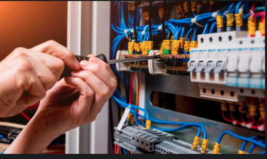 Anaya Electric