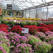 Campbell S Nurseries Garden Centers Gardening 5625 Photo Of Campbell S Nurseries Garden Centers Lincoln Ne United States
