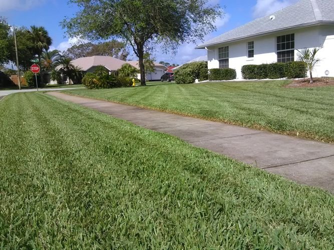 Sapsford Landscaping