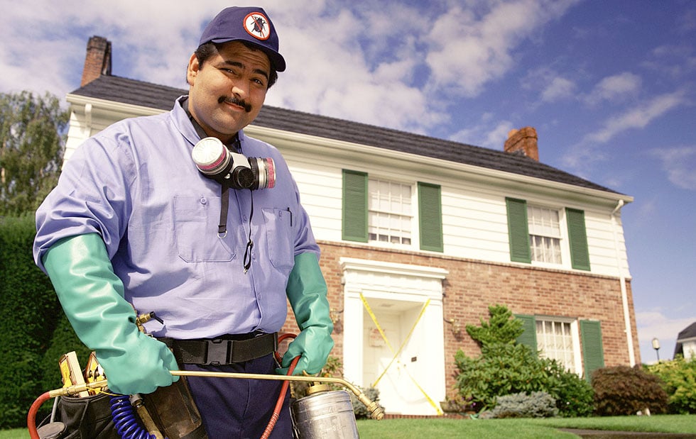 Reliable Pest Control