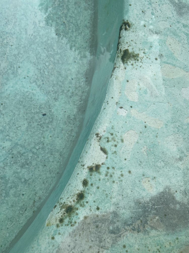 Texas Leisure Pools & Spas