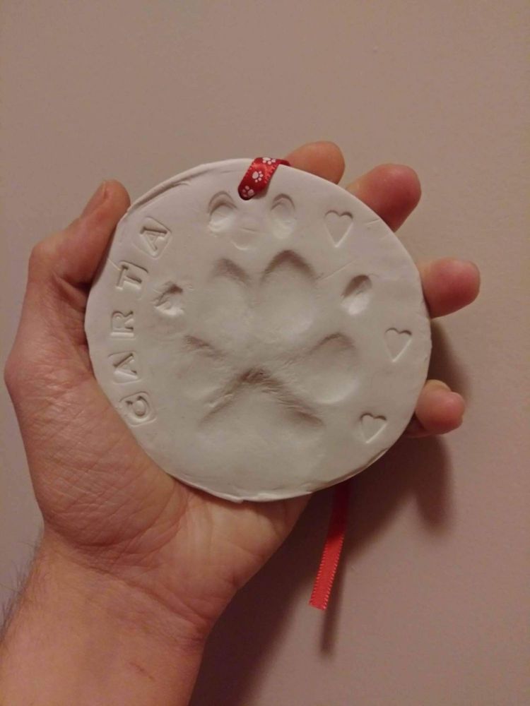 Good Shepherd Pet Services