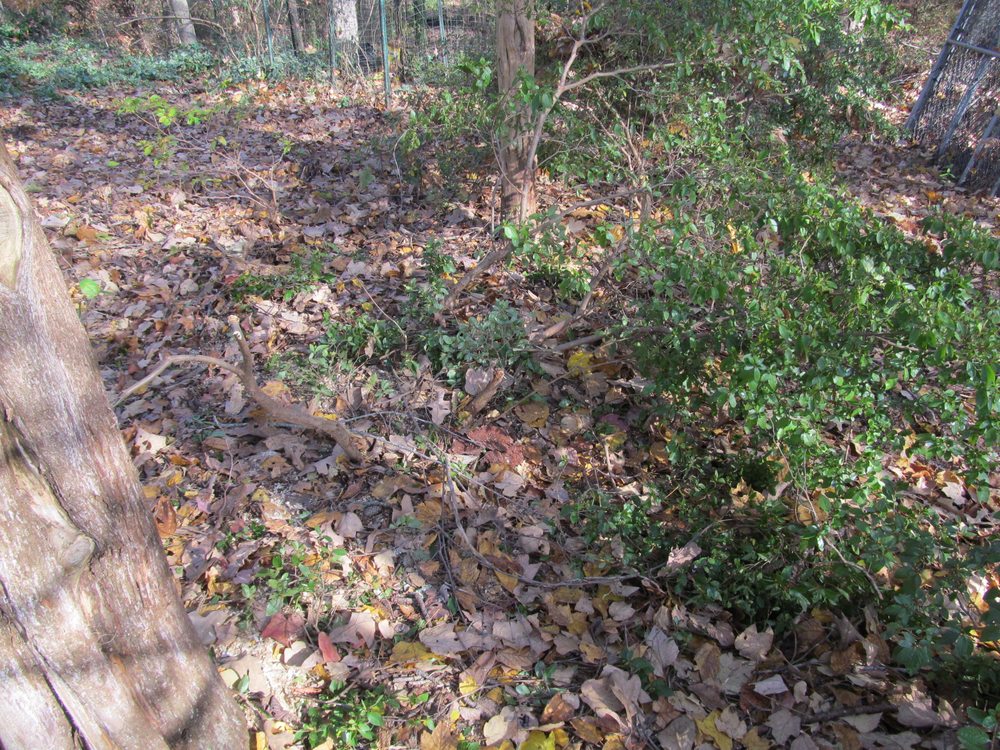 McNeair's Tree Service