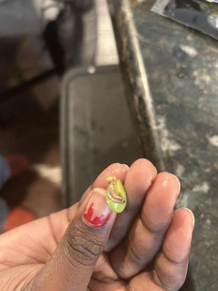 China Han Restaurant