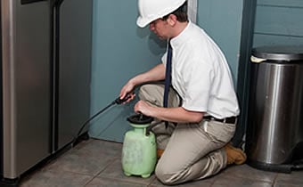 Arrow Pest Control
