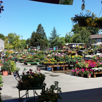 Summerwinds Nursery Mountain View Closed 75 Photos 63 Summerwinds Nursery Mountain View Closed 75 Photos 63