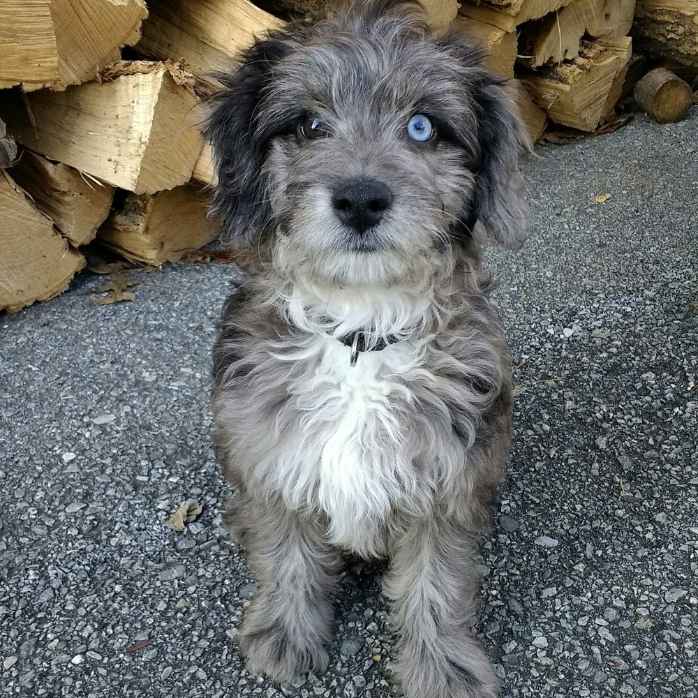 Tom’s Pet Outlet 20 Photos & 27 Reviews Pet Stores 2609 Egypt Rd, Norristown, PA, United