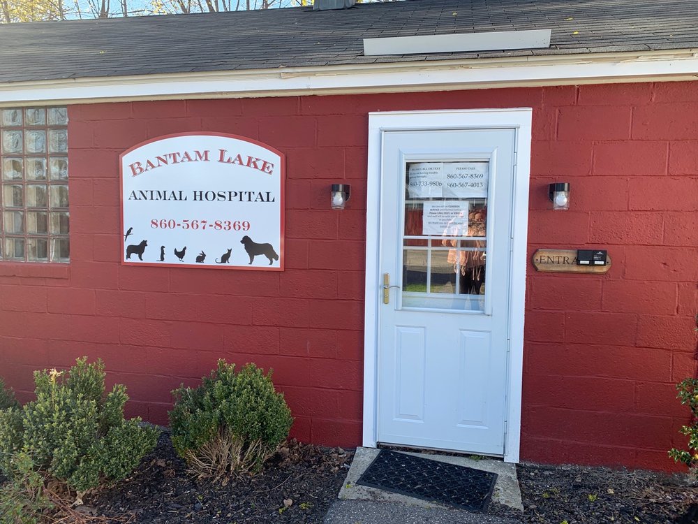 Bantam Lake Animal Hospital Image