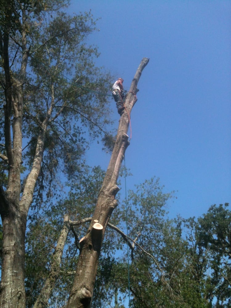 A 1 Tree Services