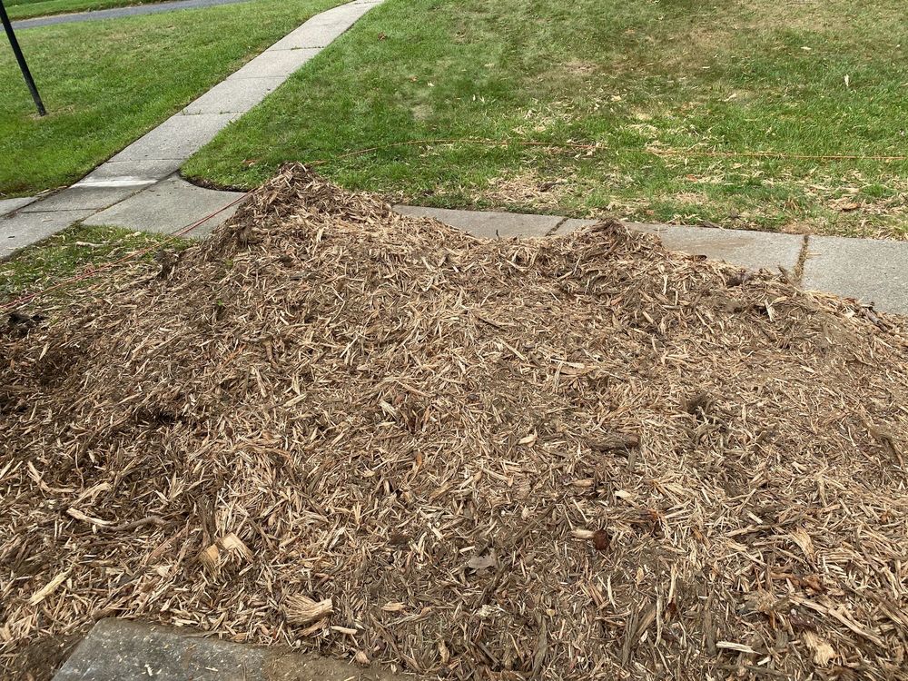 DLM Tree Services