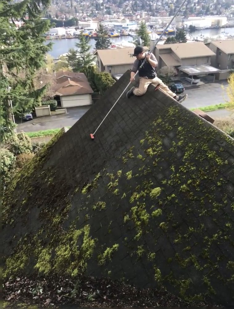 Whatcom Gutter & Roof Cleaning
