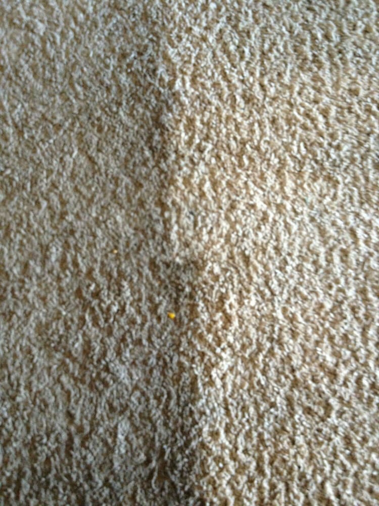 image of business Max Care