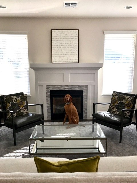 image of business Dietrich Quality Design