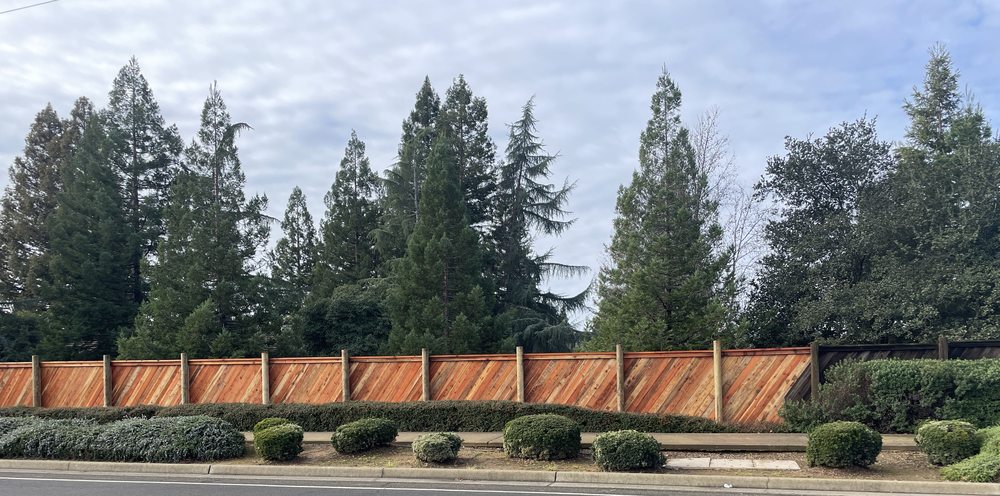 Ace Handyman Services El Dorado Hills