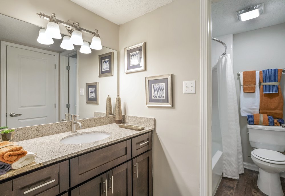 The Apartments at Midtown 501