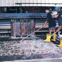 Shiraz Oriental Rug Gallery 23 Photos 11 Reviews Carpet Photo Of Shiraz Oriental Rug Gallery Tampa Fl United States