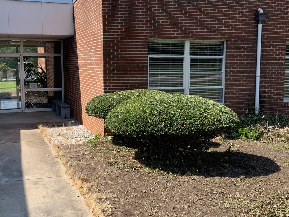 WLR Outdoor Services