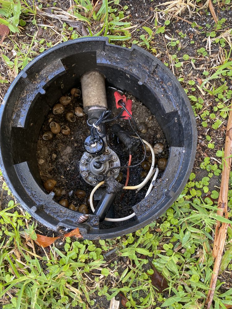 Stuck Up Sprinklers