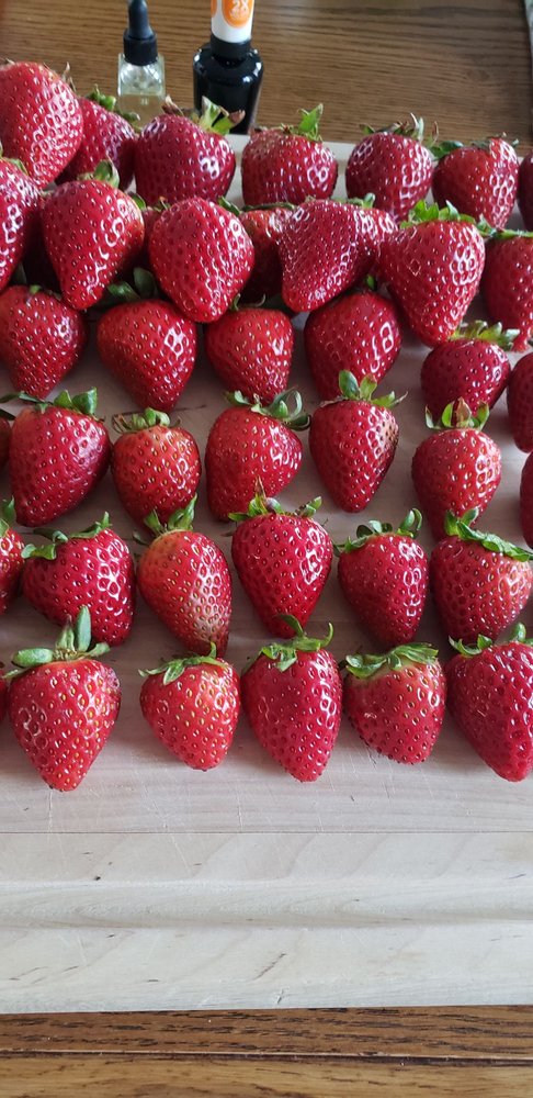 Gary's Strawberries