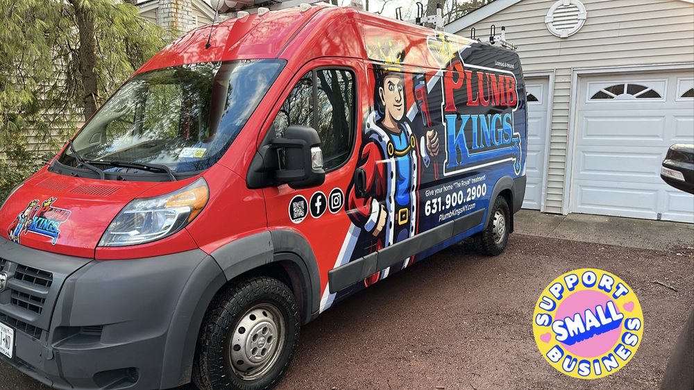 image of business PlumbKings